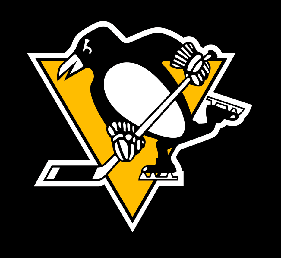 Pittsburgh Penguins 2014-2016 Throwback Logo DIY iron on transfer (heat transfer)